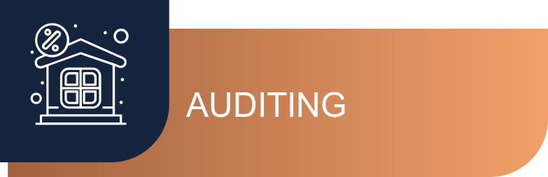 Auditing